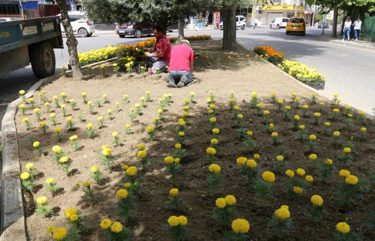 “Turgutlu’muzu Rengarenk ve Canlı Bir Görünüme Kavuşturuyoruz” “Turgutlu’muzu Rengarenk ve Canlı Bir Görünüme Kavuşturuyoruz”