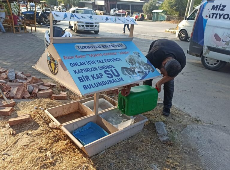 Turgutlu Belediyesinden Can Dostlara Mama ve Su Desteği Turgutlu Belediyesinden Can Dostlara Mama ve Su Desteği