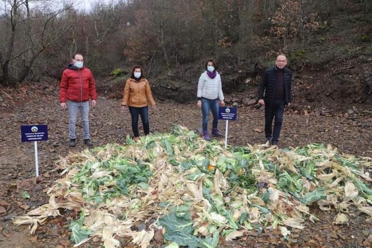 Bitkisel Atıklar Yaban Hayvanlarına Yem Oldu Bitkisel Atıklar Yaban Hayvanlarına Yem Oldu