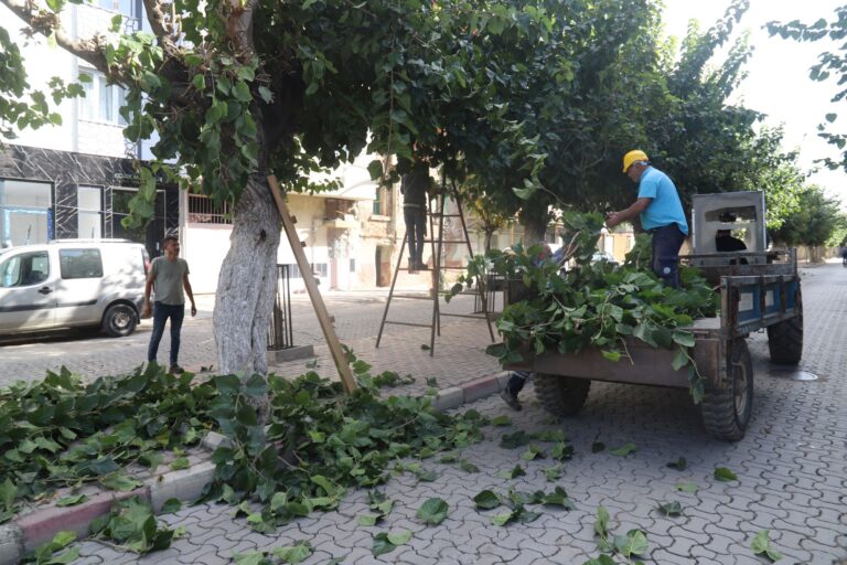 Turgutlu Belediyesi Park ve Bahçeler Müdürlüğü Ekiplerinden Yoğun Mesai