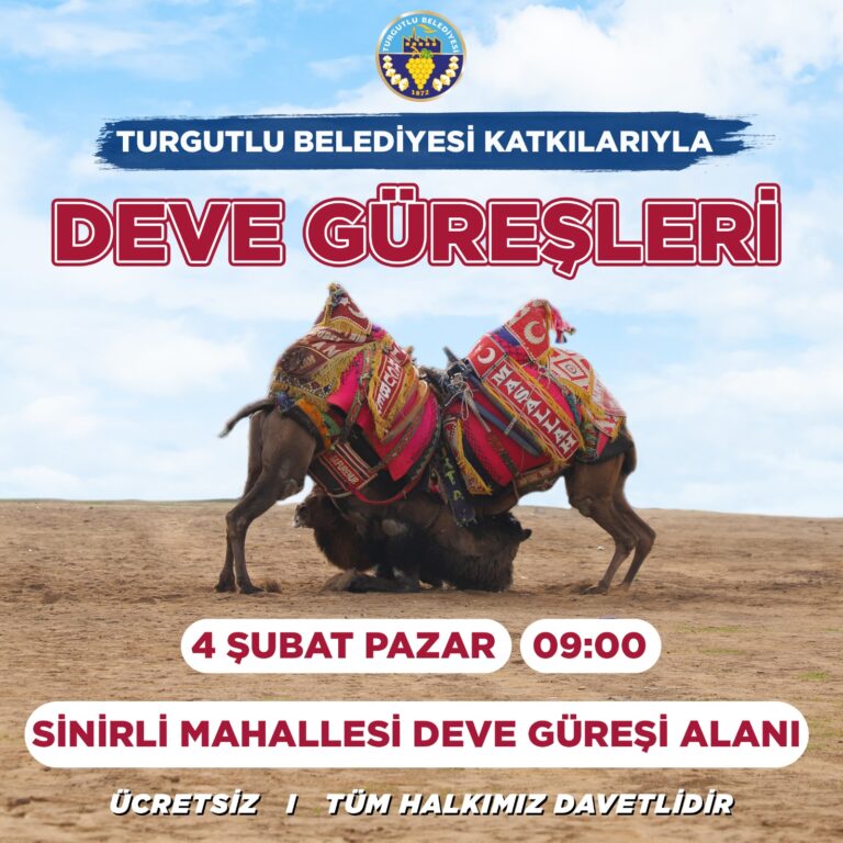 Turgutlu Belediyesinin Destekleriyle Yapılacak Deve Güreşleri 4 Şubat Pazar Günü Turgutlu Belediyesinin Destekleriyle Yapılacak Deve Güreşleri 4 Şubat Pazar Günü