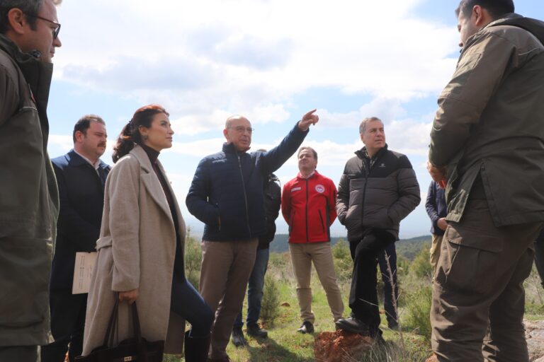 Turgutlu Belediyesi Sokak Hayvanları İçin Örnek Bir Proje Planlıyor Turgutlu Belediyesi Sokak Hayvanları İçin Örnek Bir Proje Planlıyor