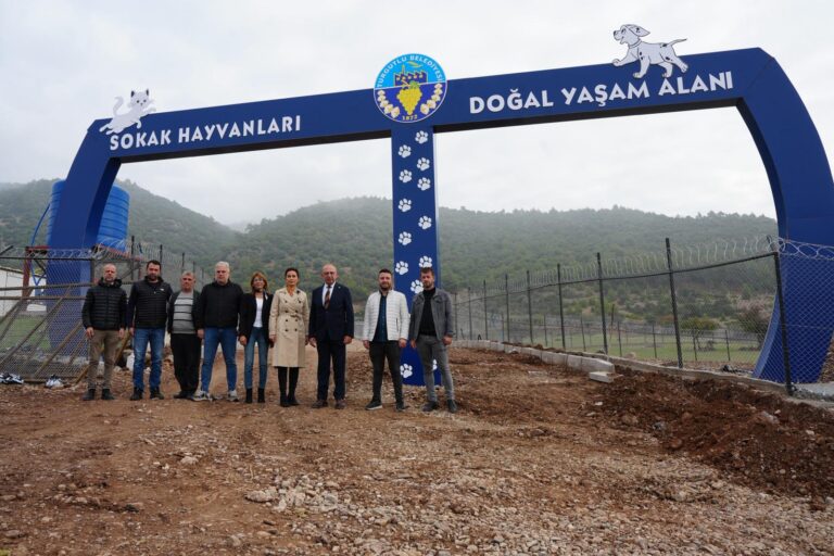 Turgutlu Belediyesinden Sahipsiz Sokak Hayvanları İçin Güvenli Bir Yaşam Alanı Turgutlu Belediyesinden Sahipsiz Sokak Hayvanları İçin Güvenli Bir Yaşam Alanı